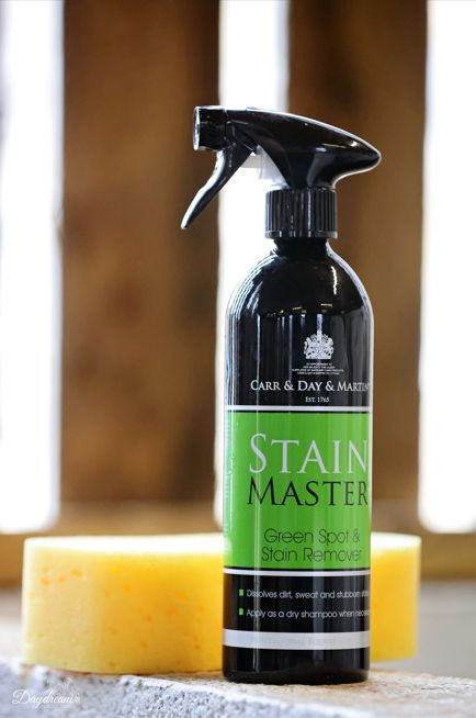 Carr &amp; Day &amp; Martin Stainmaster