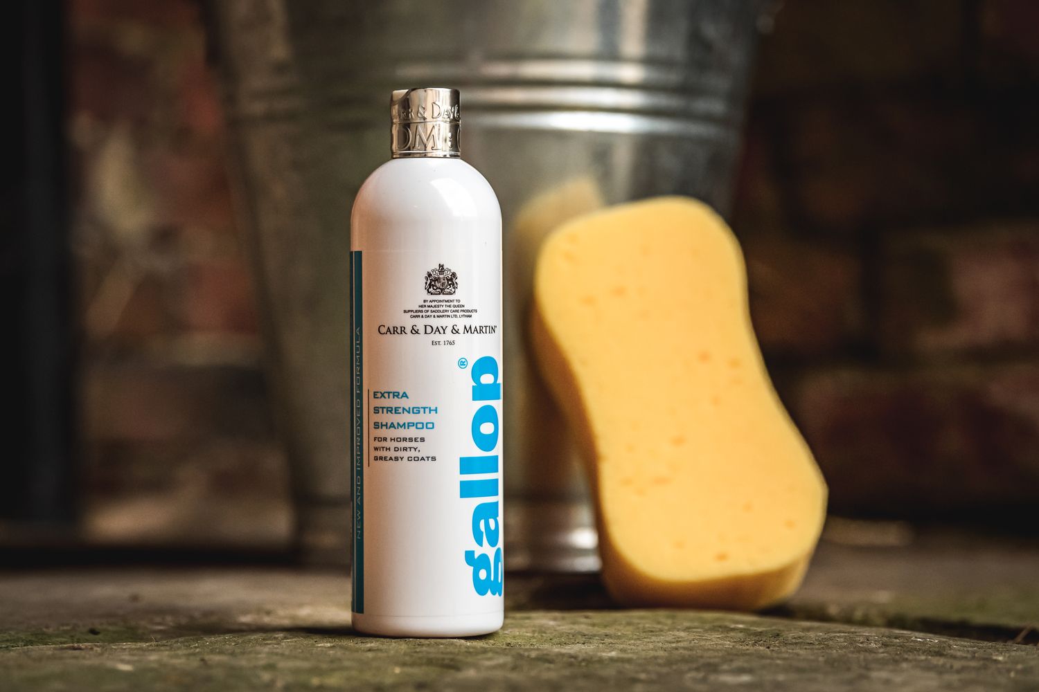 Gallop extra strength shampoo