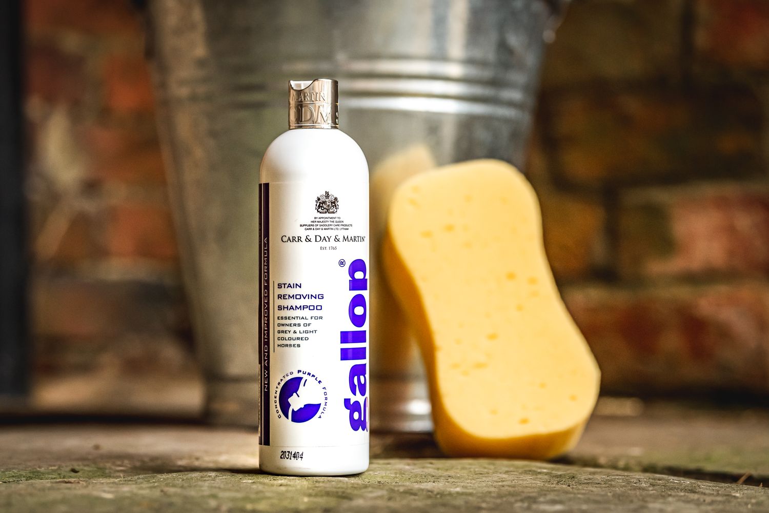 Gallop stain removing shampoo
