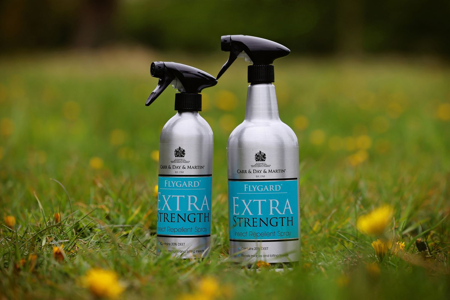 Carr Day &amp; Martin Flygard Extra Strength