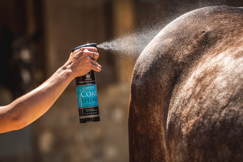 Carr Day &amp; Martin Canter coat shine spray