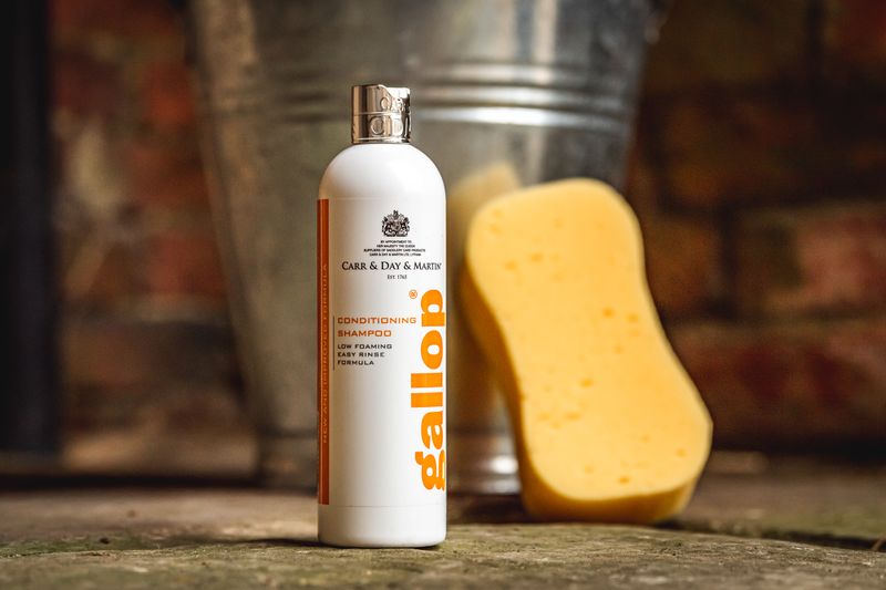 Gallop conditioning shampoo