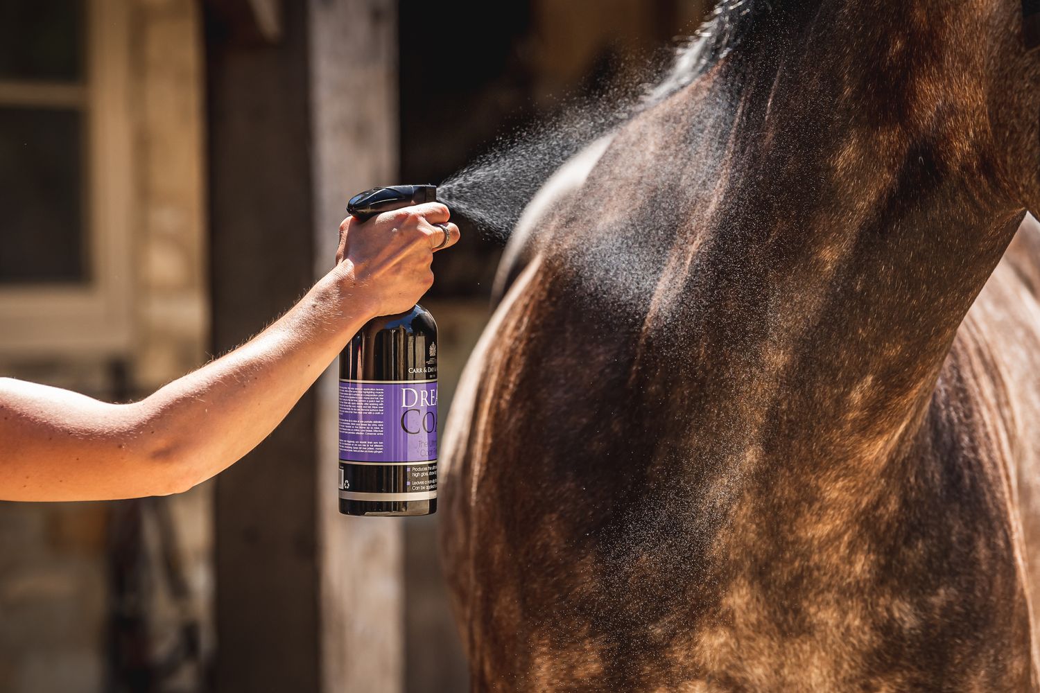 Carr day &amp; Martin Dreamcoat