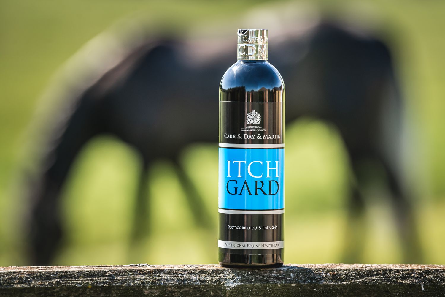 Carr &amp; Day &amp; Martin Itchgard