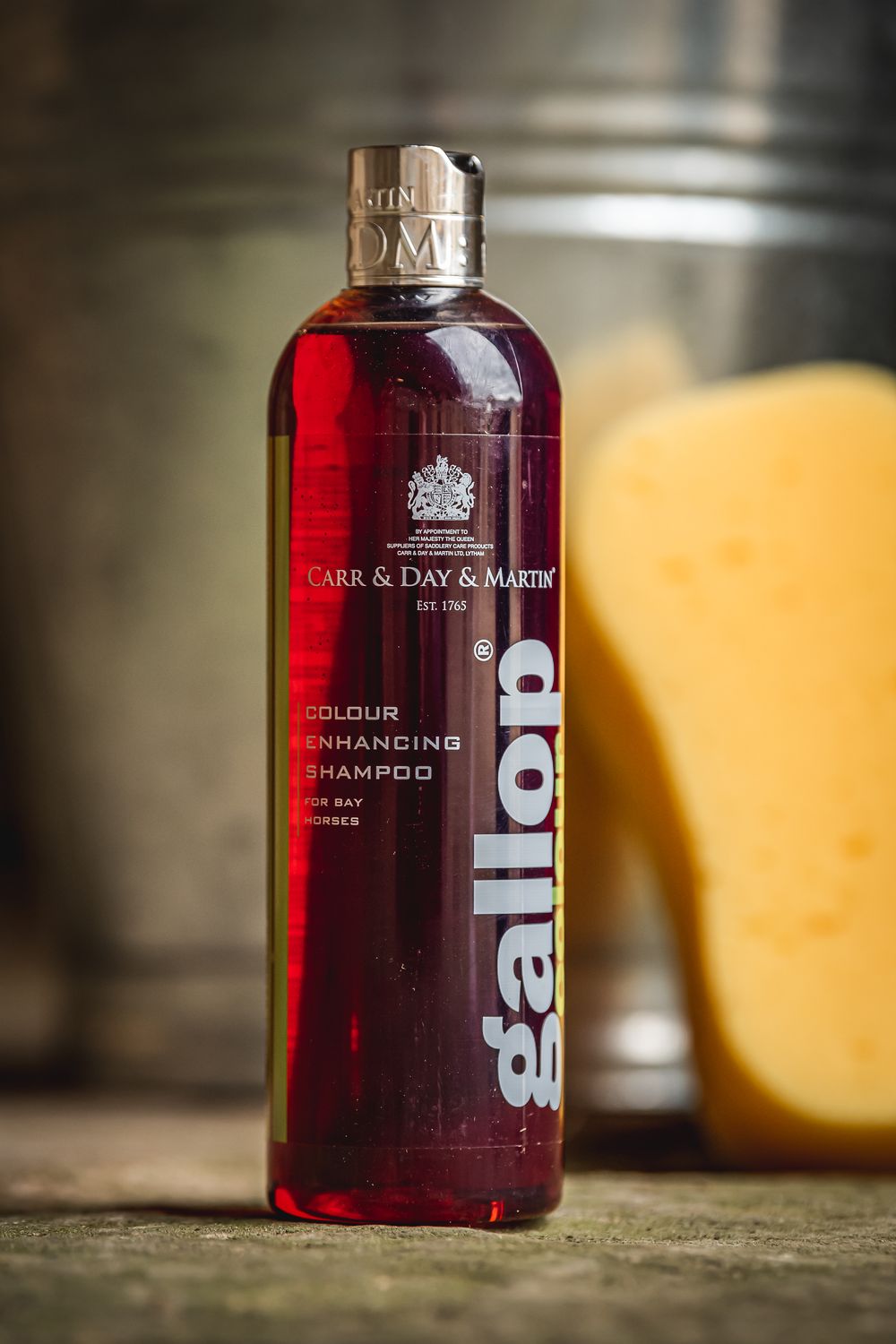 Gallop colour enhancing shampoo - bays