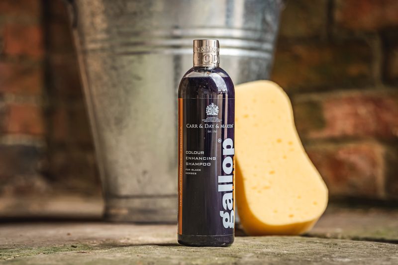 Gallop colour enhancing shampoo - black