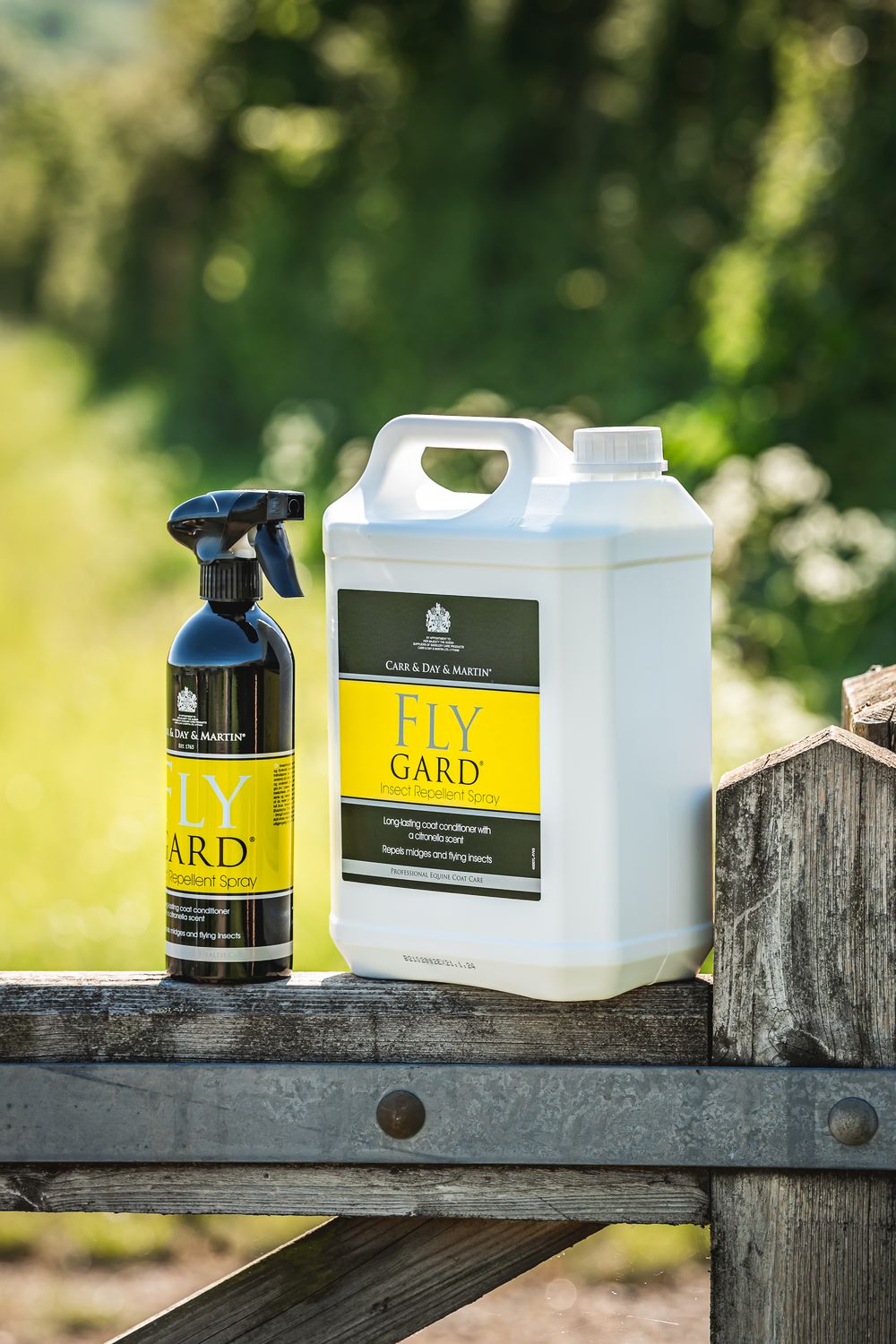 Carr Day &amp; Martin Flygard