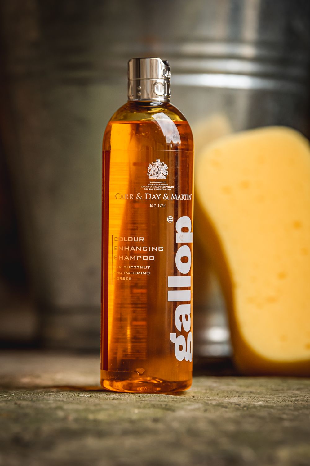 Gallop colour enhancing shampoo - chestnut