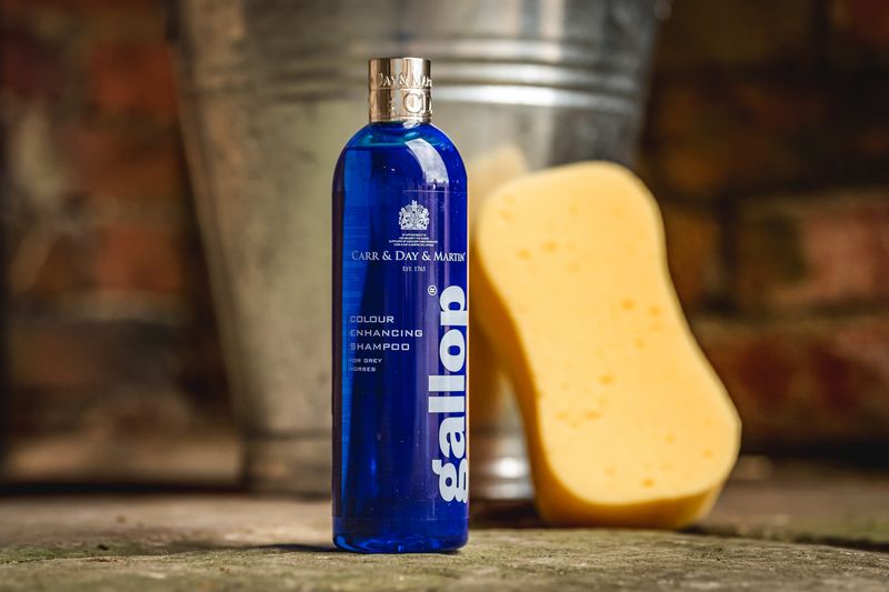 Gallop colour enhancing shampoo - greys