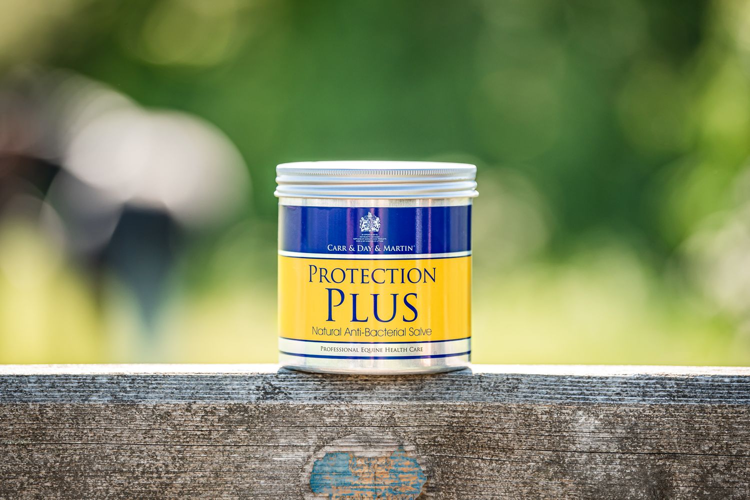 Carr &amp; Day &amp; Martin Protection Plus