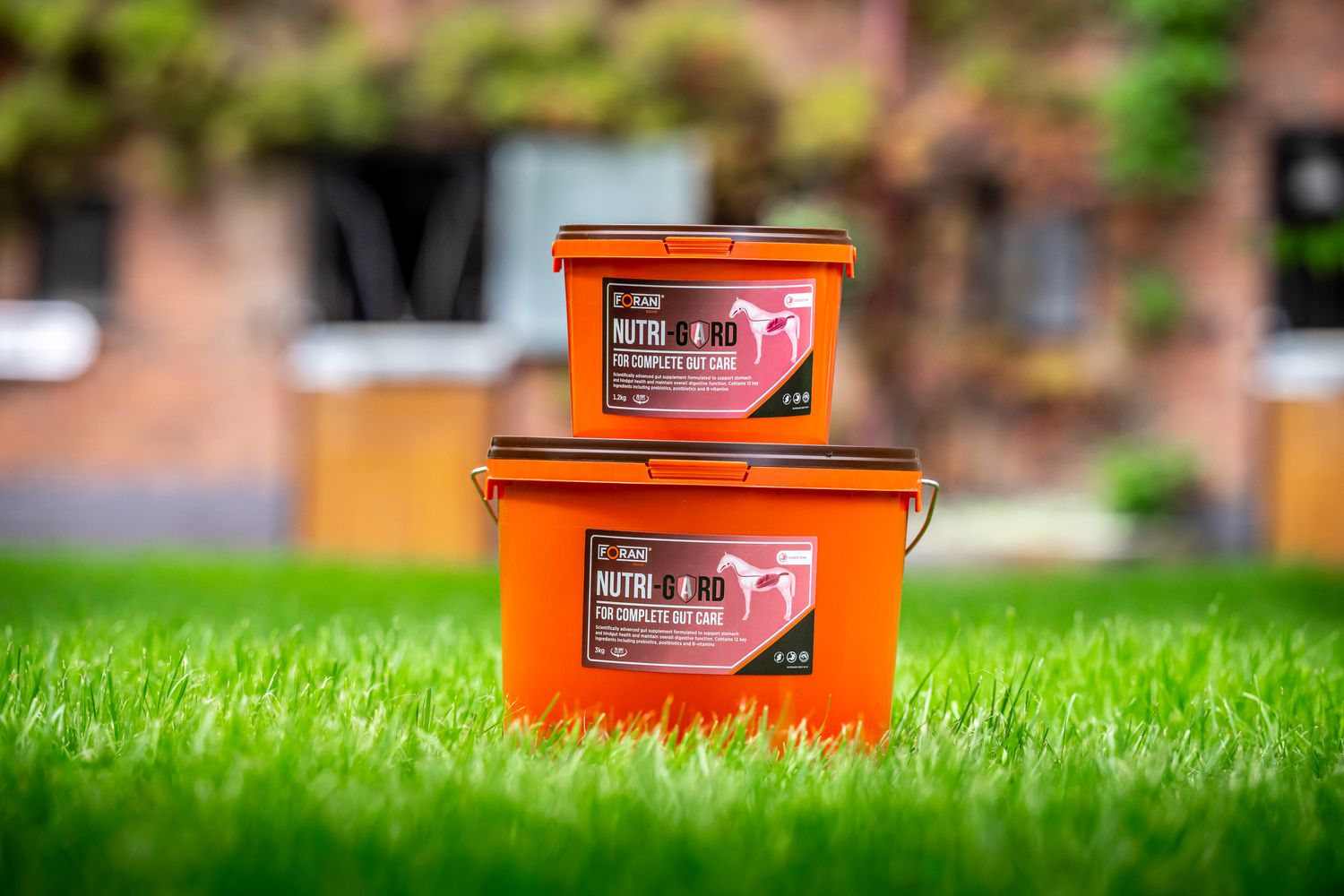 Foran Equine Nutrigard