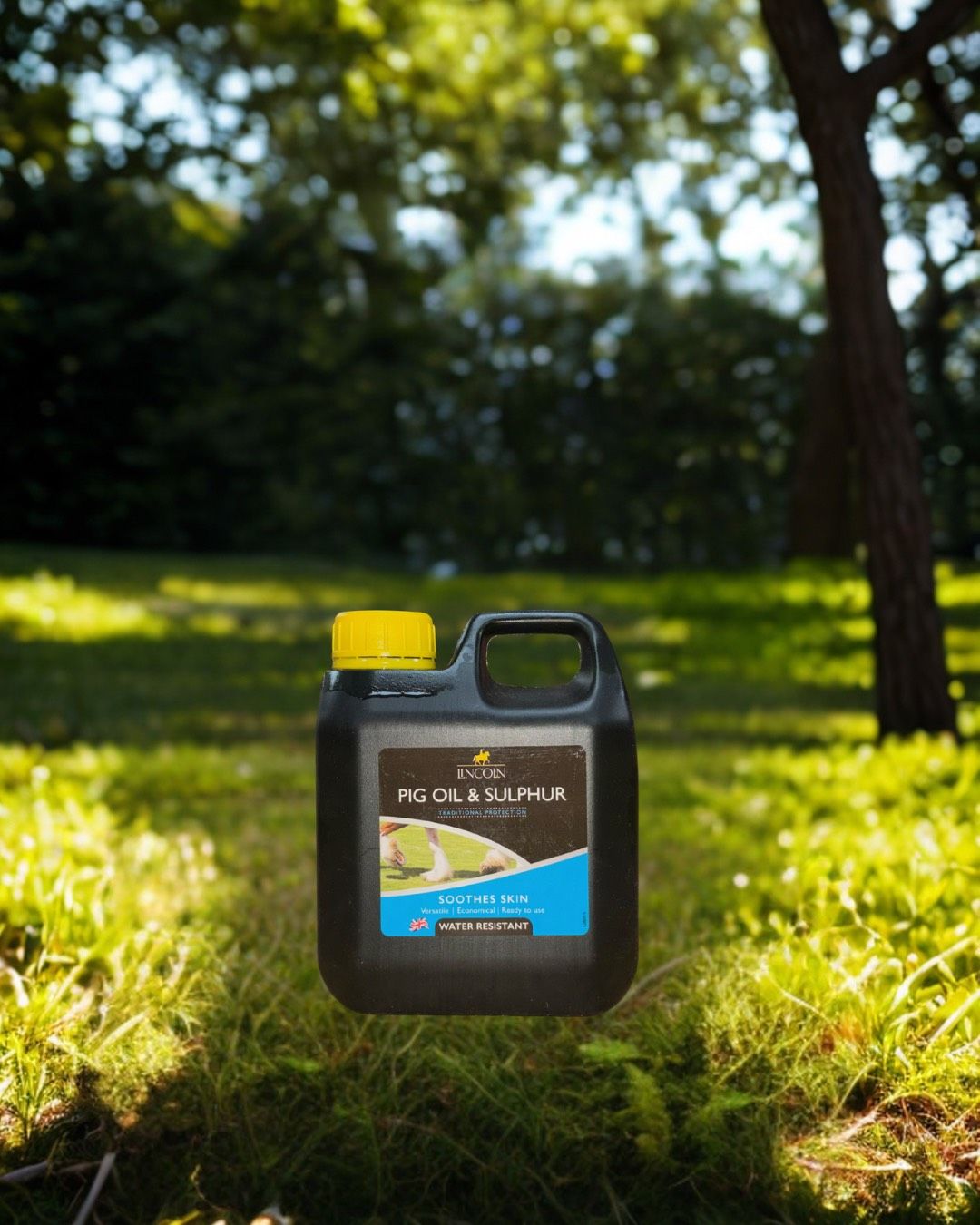 lincoln Pig oil &amp; sulphur