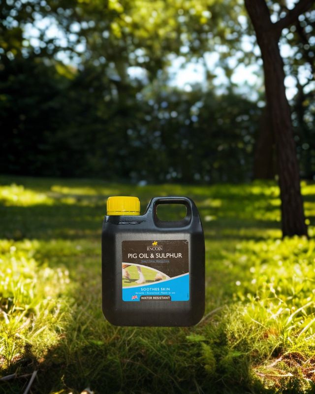 lincoln Pig oil &amp; sulphur