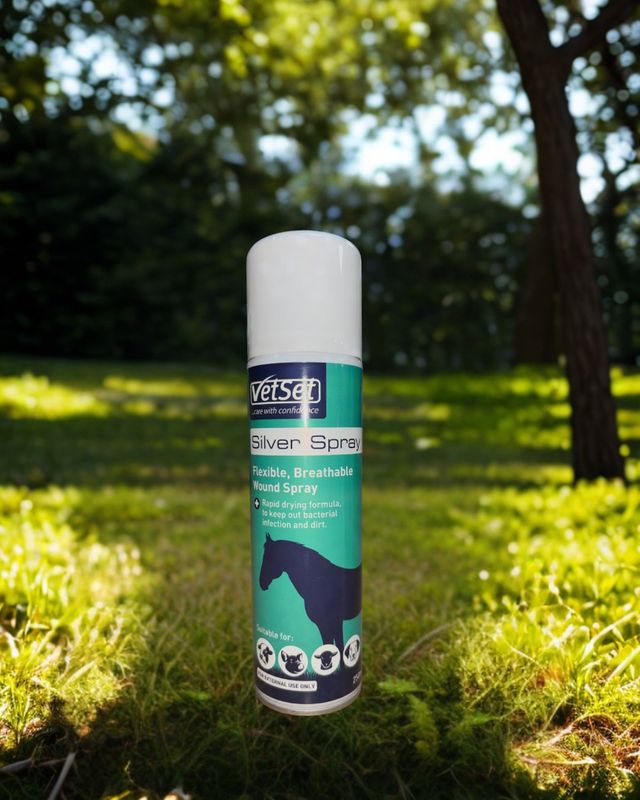 Vetset Aluminium silver spray