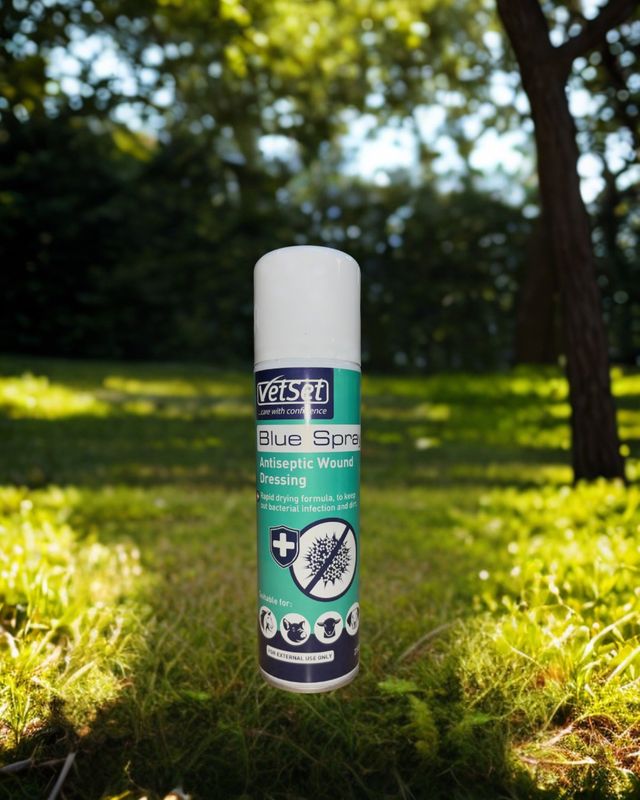 Vetset blue spray