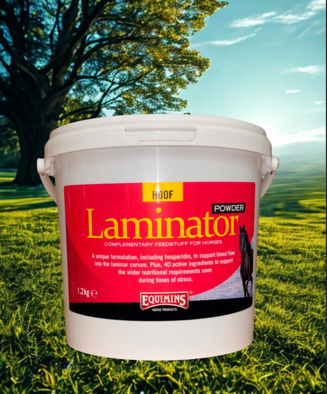 Equimins Laminator