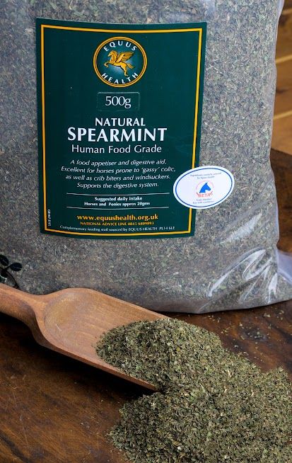 Equus Spearmint