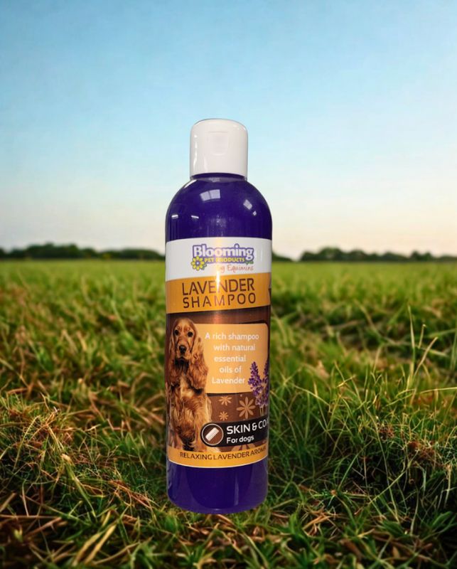 Blooming Pets Lavender Shampoo