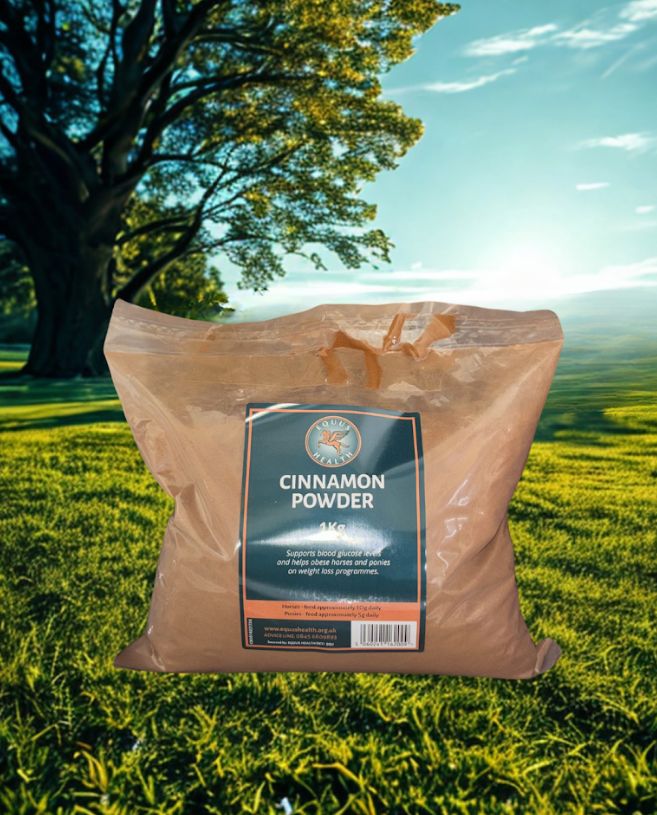Equus Cinnamon