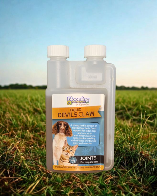 Blooming Pets Devils Claw Herbal Extract
