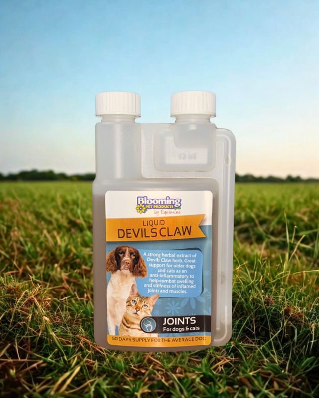 Blooming Pets Devils Claw Herbal Extract