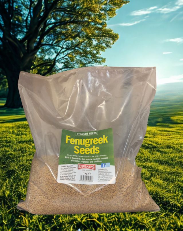 Equimins Fenugreek Seeds 1Kg