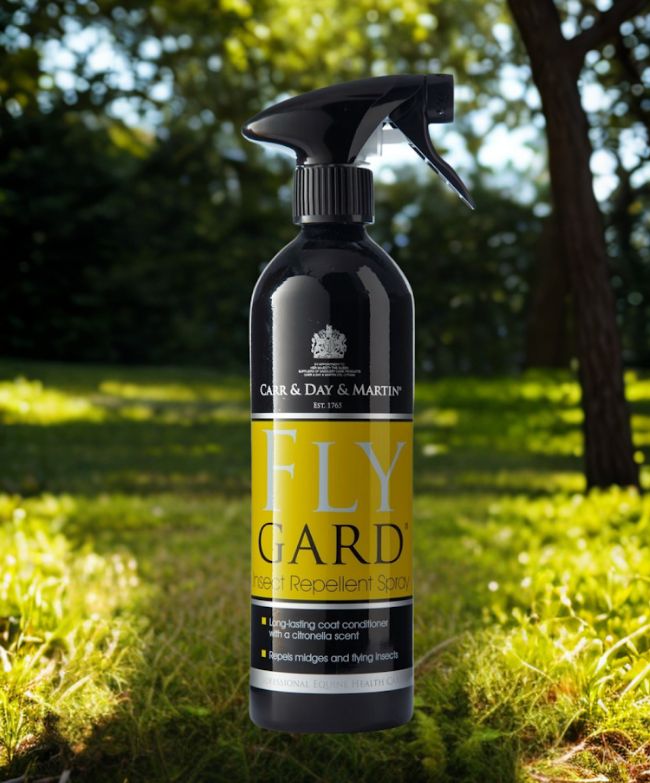 Carr Day &amp; Martin Flygard