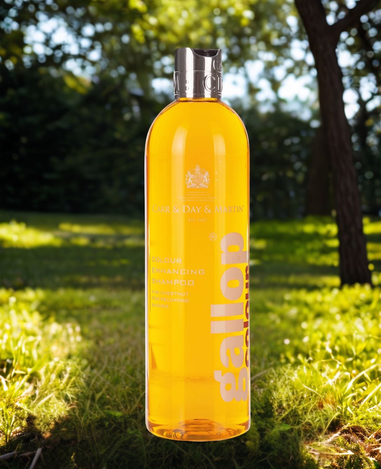 Gallop colour enhancing shampoo - chestnut