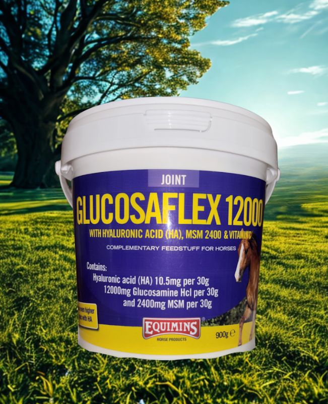 Equimins Glucosaflex