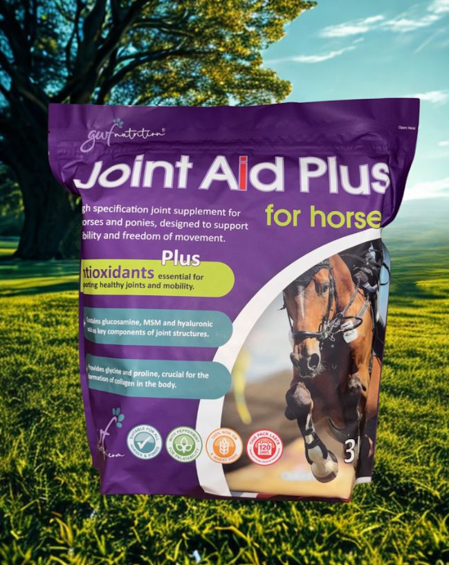 GWF Nutrition Joint Aid Plus