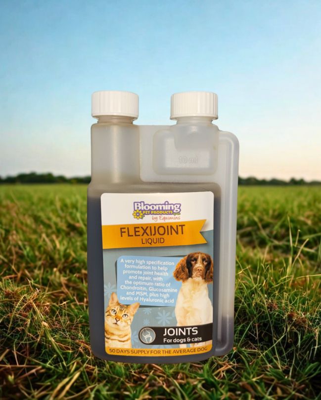 Blooming Pets Flexijoint Liquid