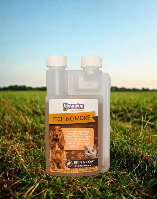 Blooming Pets Itch No More Herbal Extract