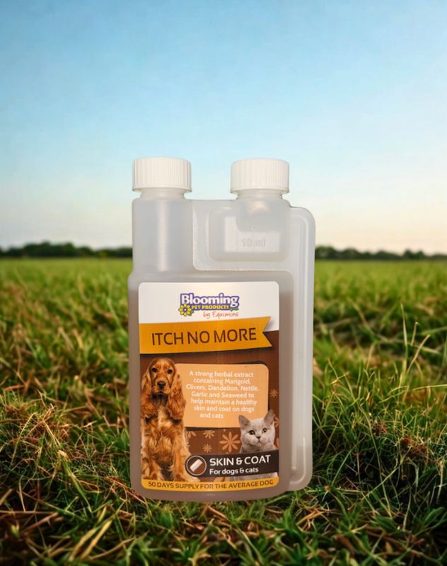Blooming Pets Itch No More Herbal Extract