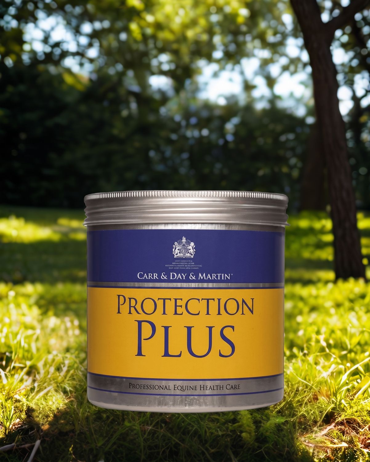 Carr &amp; Day &amp; Martin Protection Plus
