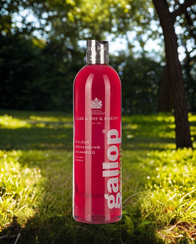 Gallop colour enhancing shampoo - bays