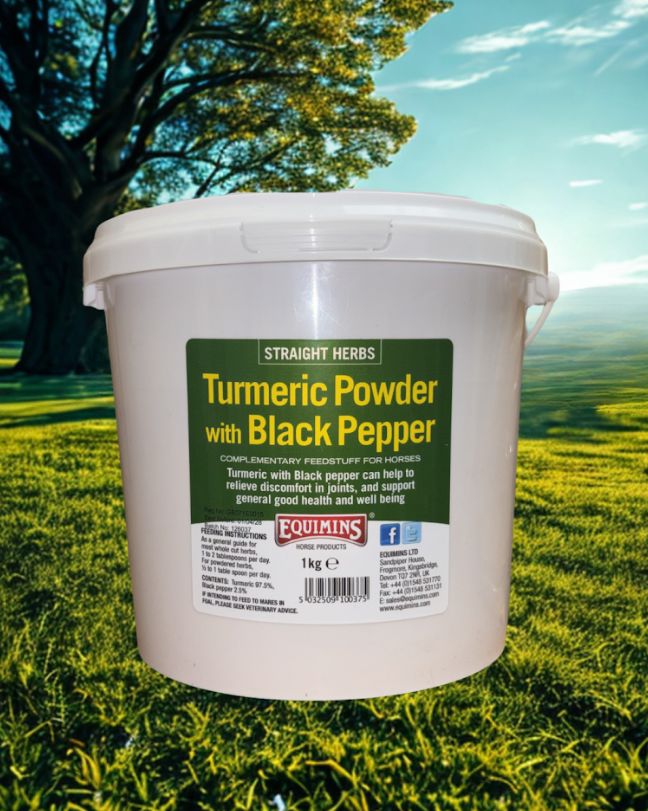 Equimins Turmeric powder with black pepper