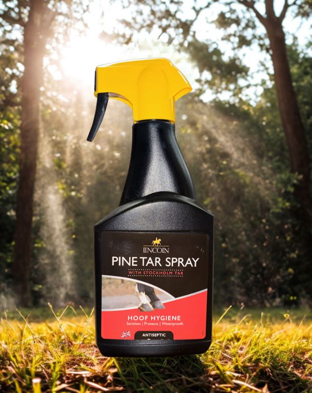 Lincoln Pine tar spray 500ml