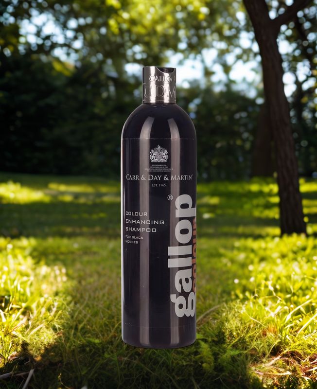 Gallop colour enhancing shampoo - black