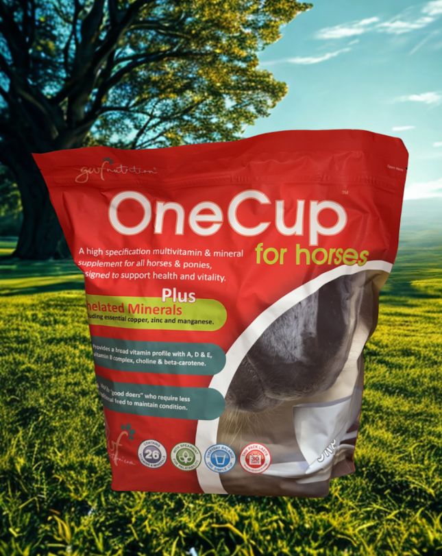GWF Nutrition One Cup