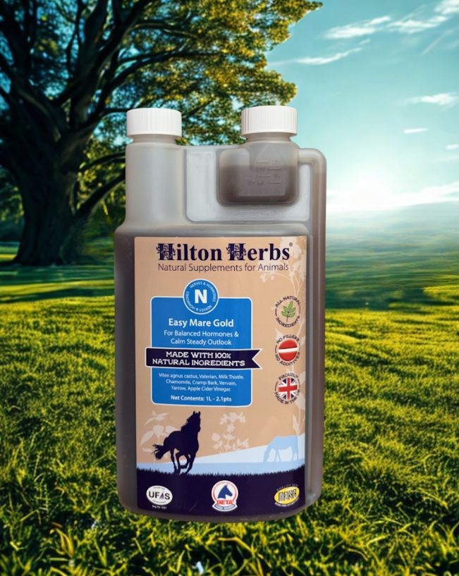 Hilton Herbs Easy Mare Gold
