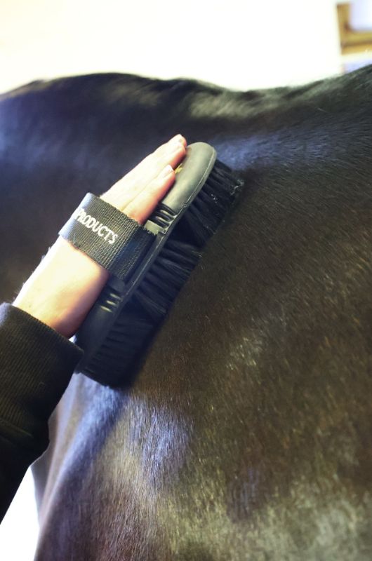 Supreme Products Pro Groom Body Brush