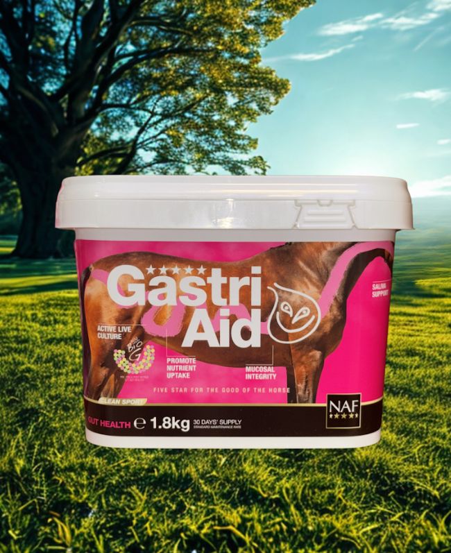 NAF Gastriaid
