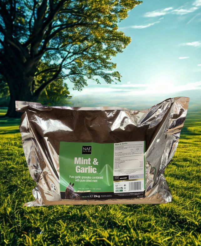 NAF mint &amp; garlic refill