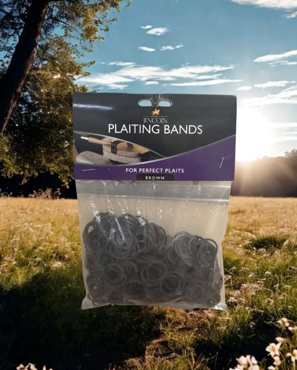 Lincoln plaiting bands
