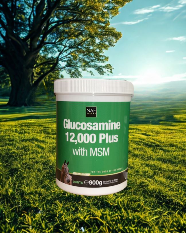 NAF Glucosamine &amp; MSM