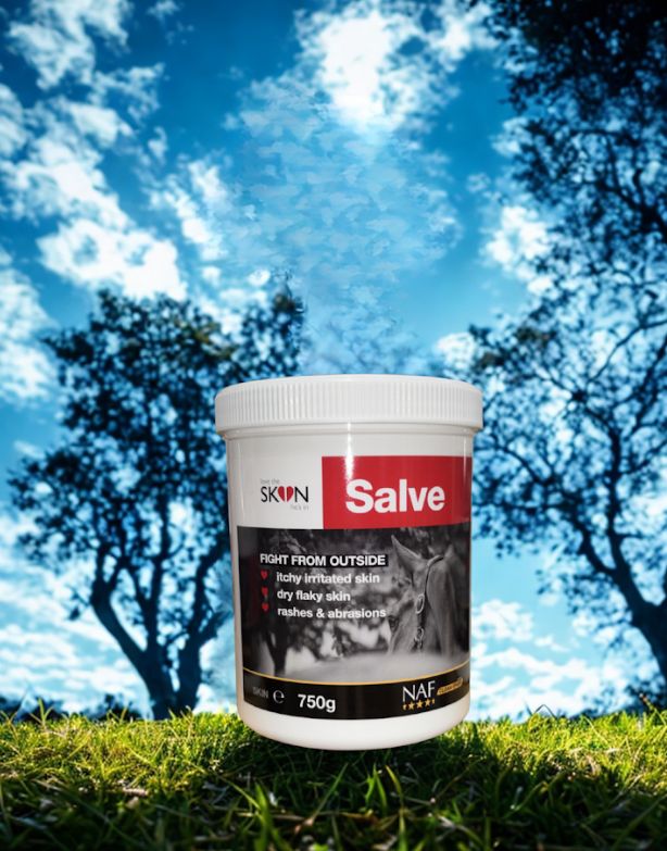 NAF LTSHI Skin Salve
