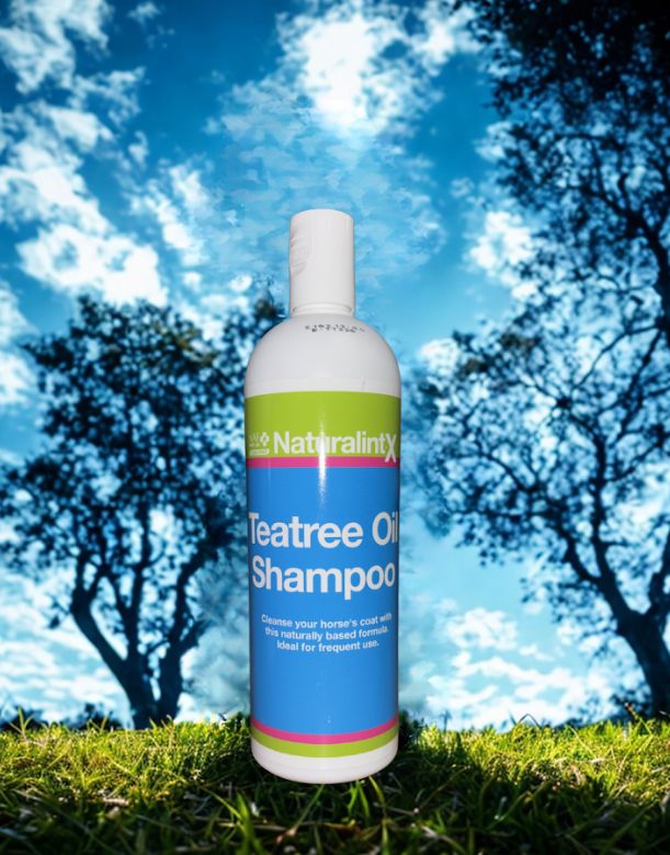 NAF Tea tree oil shampoo