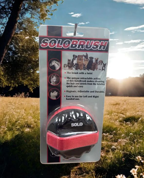 Solobrush retractable brush