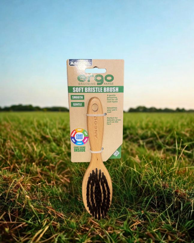 Ancol ergo soft dog brush