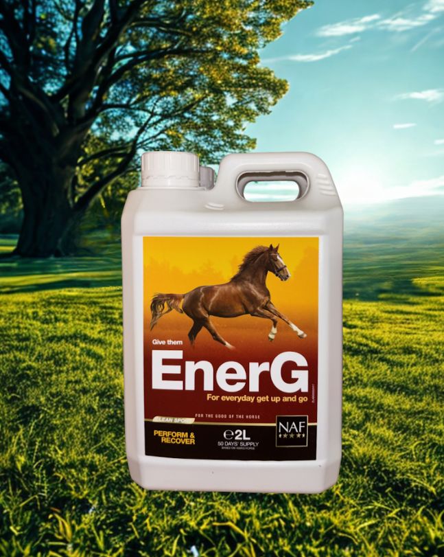 NAF EnerG